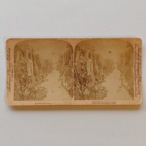 ANTIQUE Stereograph Inside the Catacombs Brussels, Belgium Palais du Coudenberg